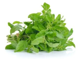 กระเพา 250 กรัม