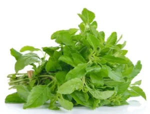 กระเพา 0.5 กก